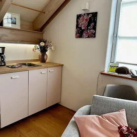 La Vie En Rose Appartement