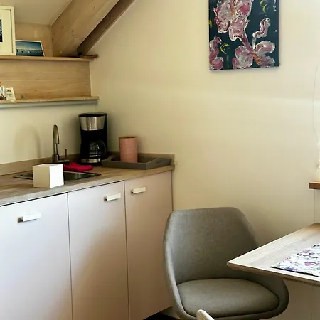 La Vie En Rose Apartament *
