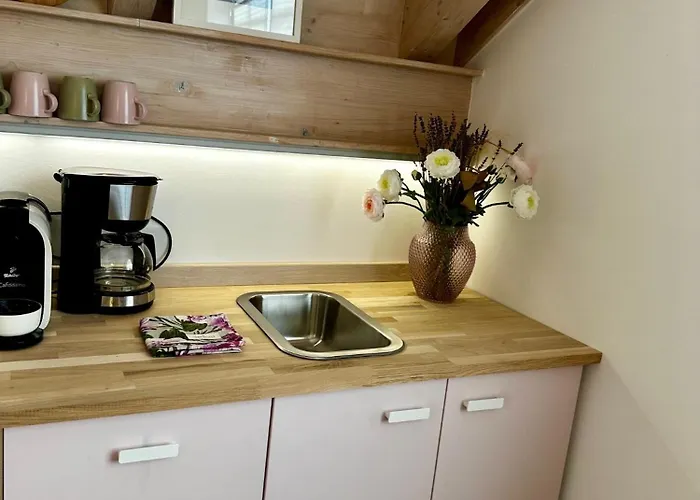La Vie En Rose Appartement *